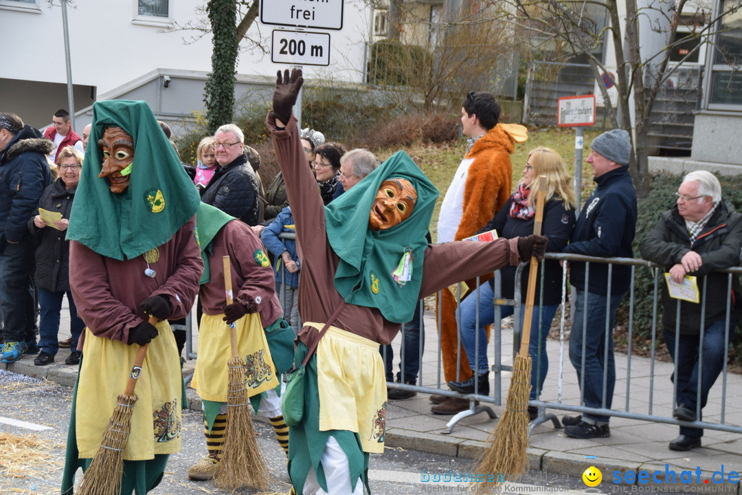 Grosser Narrensprung: Friedrichshafen am Bodensee, 02.03.2019