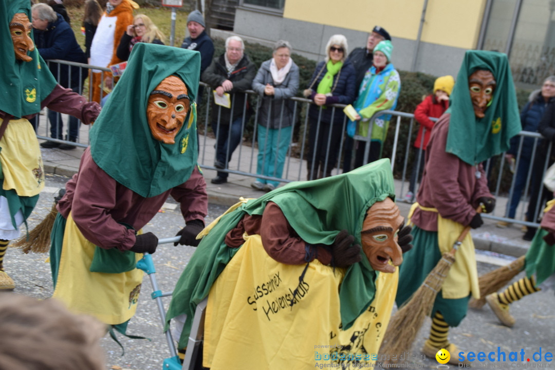 Grosser Narrensprung: Friedrichshafen am Bodensee, 02.03.2019