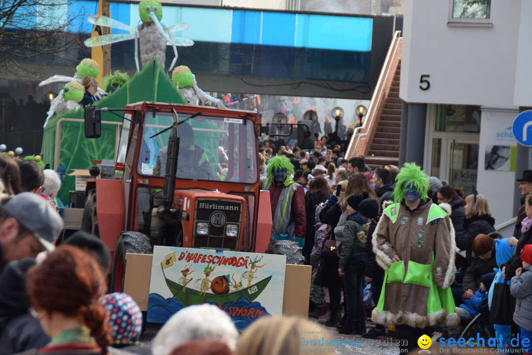 Grosser Narrensprung: Friedrichshafen am Bodensee, 02.03.2019