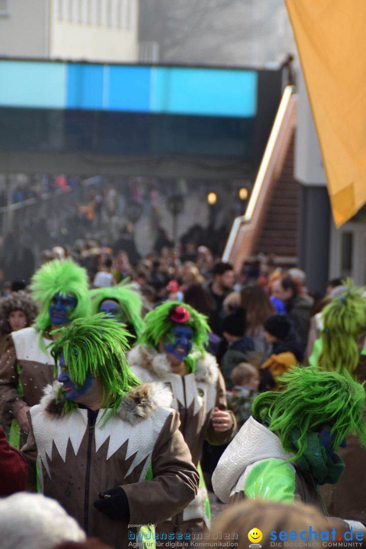 Grosser Narrensprung: Friedrichshafen am Bodensee, 02.03.2019