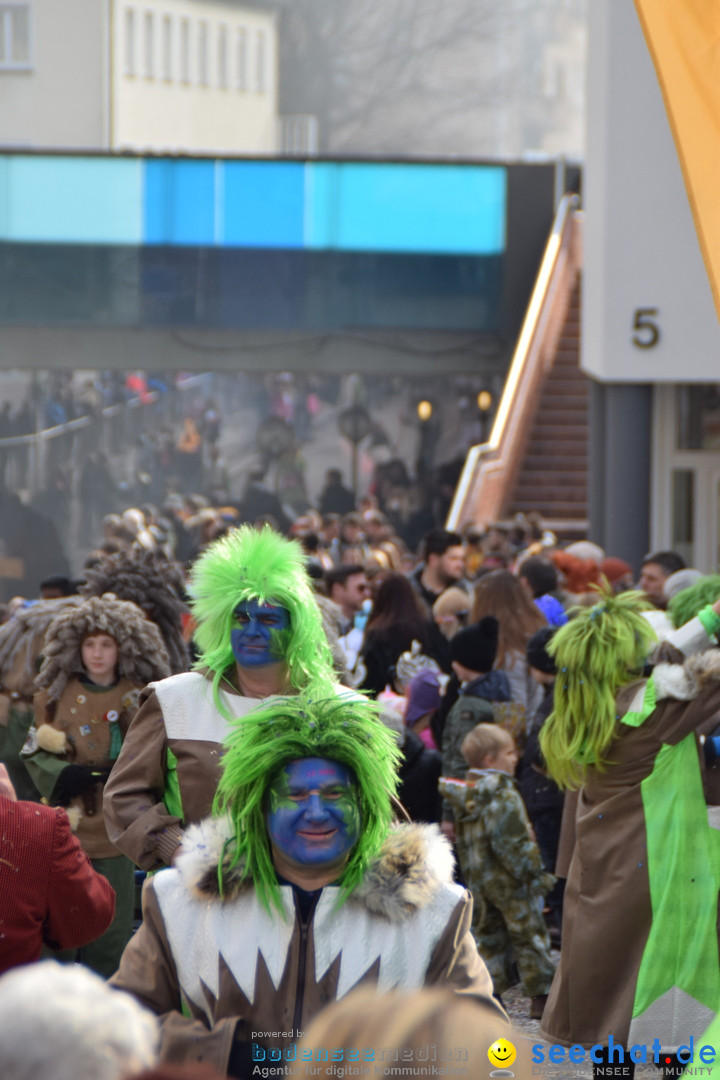 Grosser Narrensprung: Friedrichshafen am Bodensee, 02.03.2019