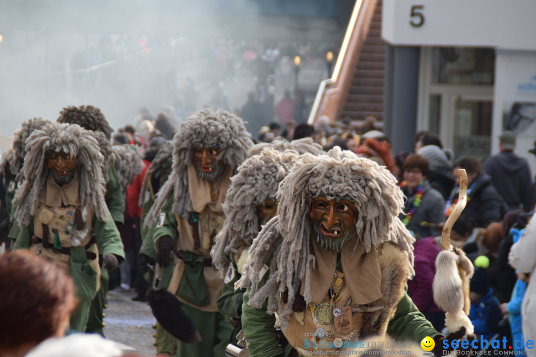 Grosser Narrensprung: Friedrichshafen am Bodensee, 02.03.2019