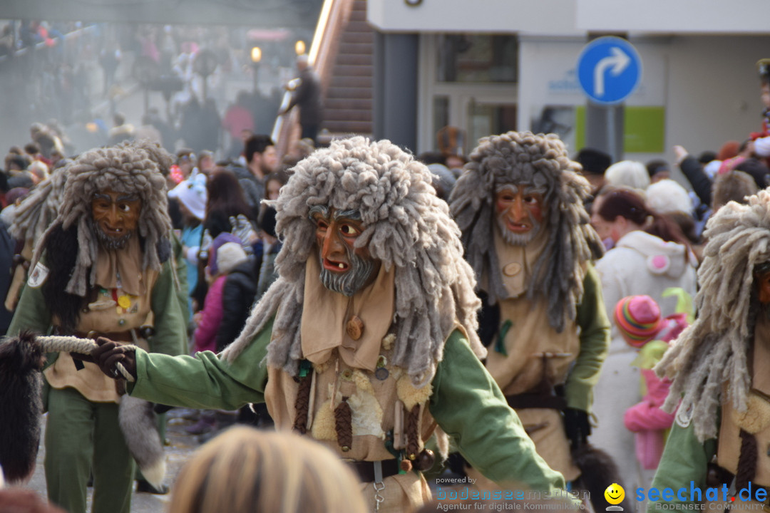 Grosser Narrensprung: Friedrichshafen am Bodensee, 02.03.2019