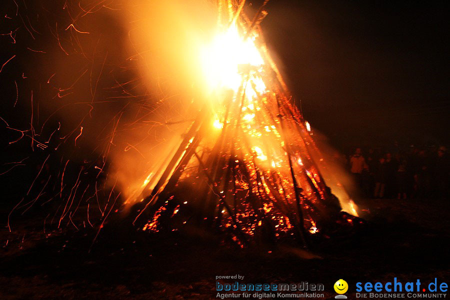 Funkenfeuer 2010: Ursaul bei Stockach am Bodensee, 21.02.2010