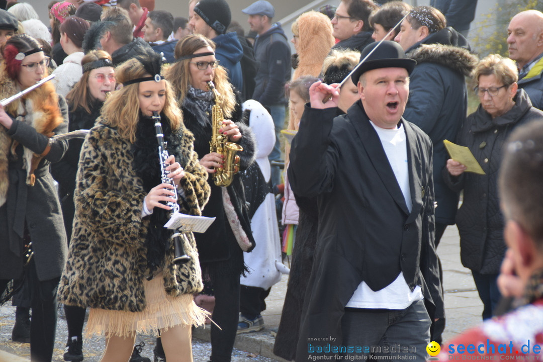 Grosser Narrensprung: Friedrichshafen am Bodensee, 02.03.2019