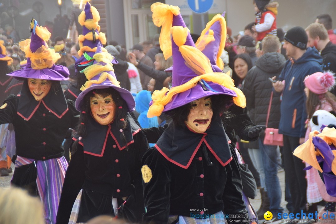 Grosser Narrensprung: Friedrichshafen am Bodensee, 02.03.2019