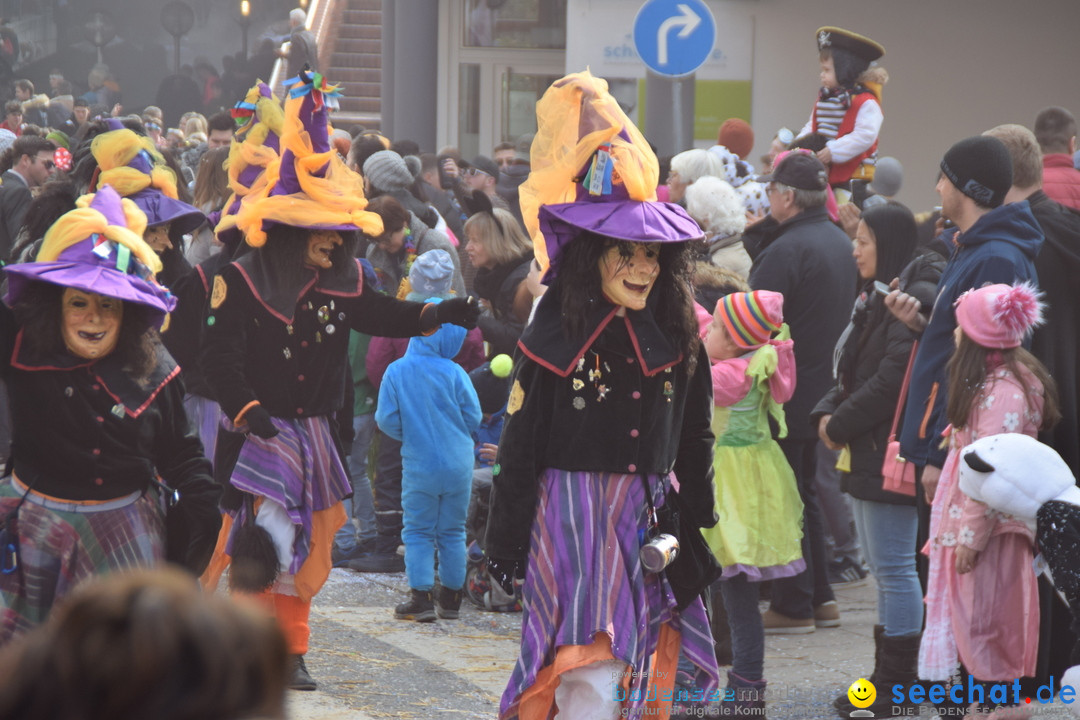 Grosser Narrensprung: Friedrichshafen am Bodensee, 02.03.2019