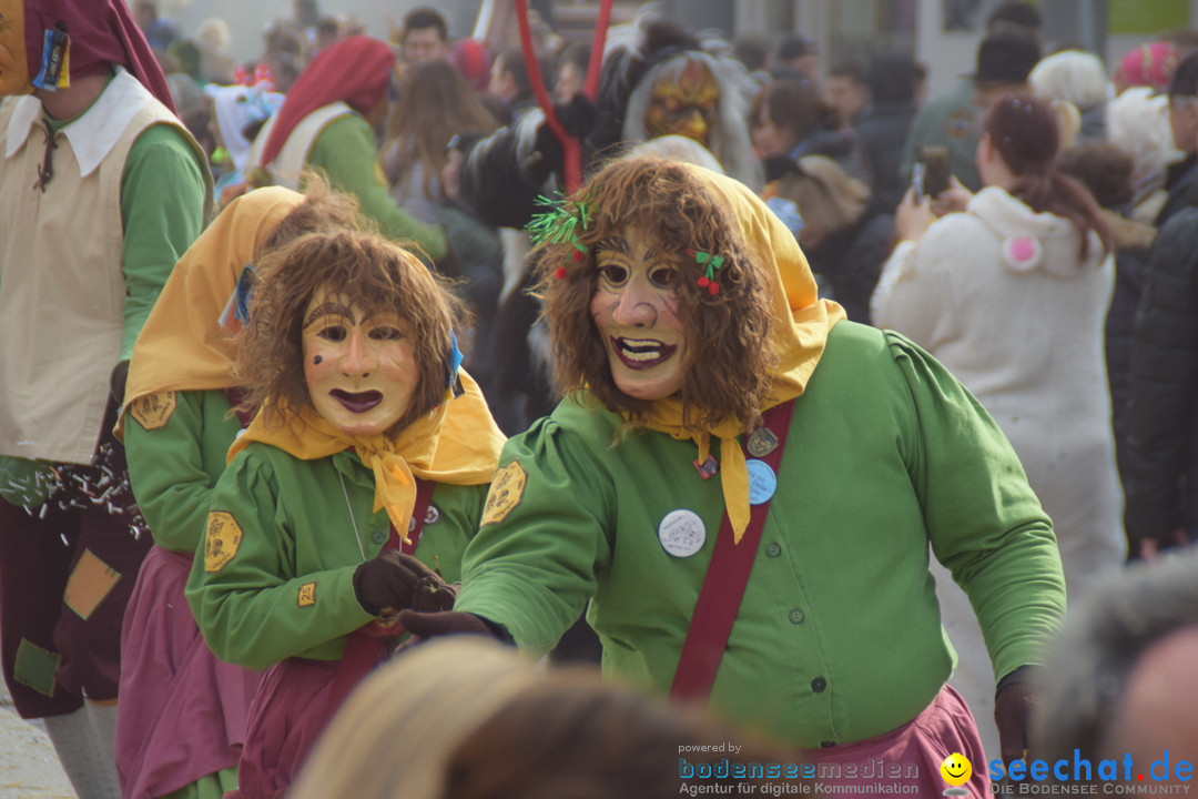 Grosser Narrensprung: Friedrichshafen am Bodensee, 02.03.2019