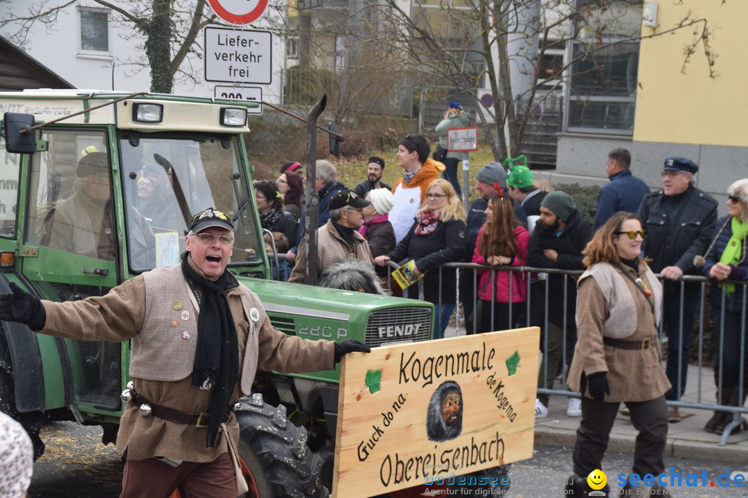 Grosser Narrensprung: Friedrichshafen am Bodensee, 02.03.2019