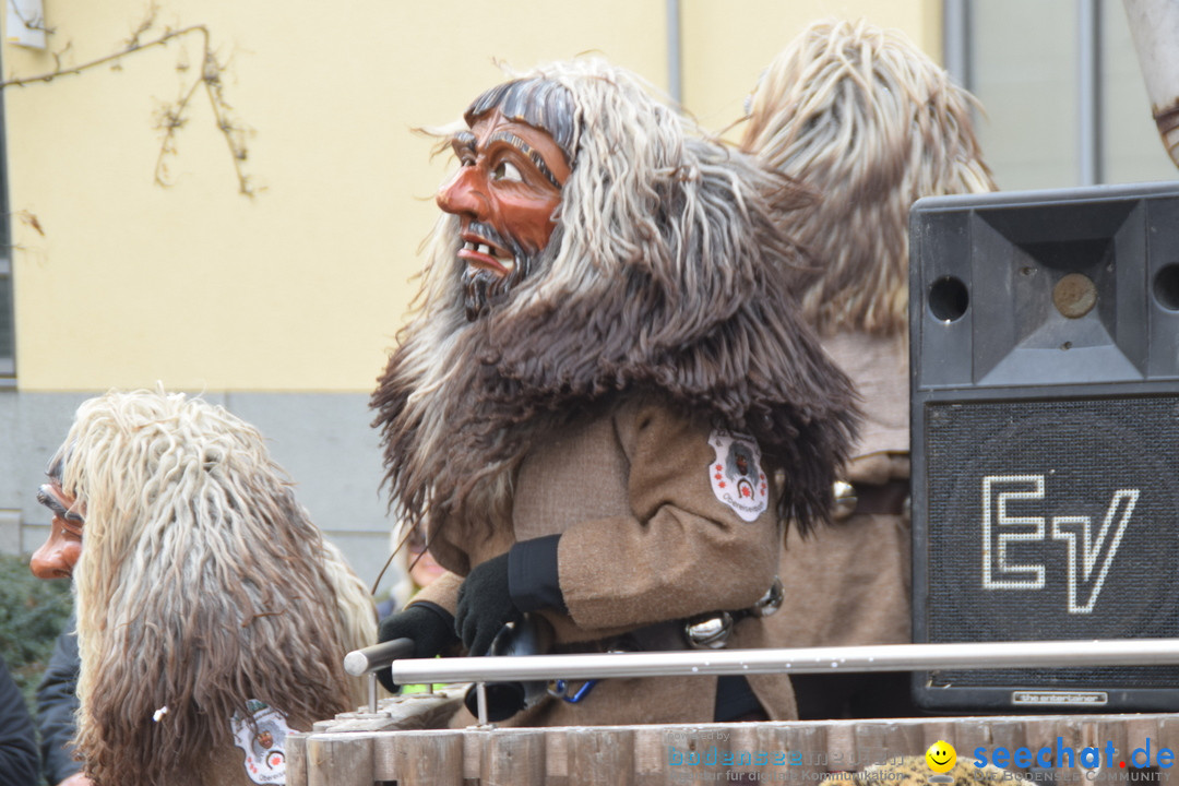 Grosser Narrensprung: Friedrichshafen am Bodensee, 02.03.2019