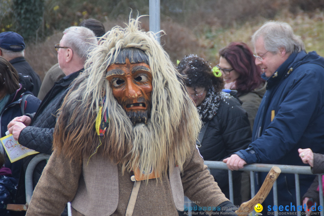 Grosser Narrensprung: Friedrichshafen am Bodensee, 02.03.2019