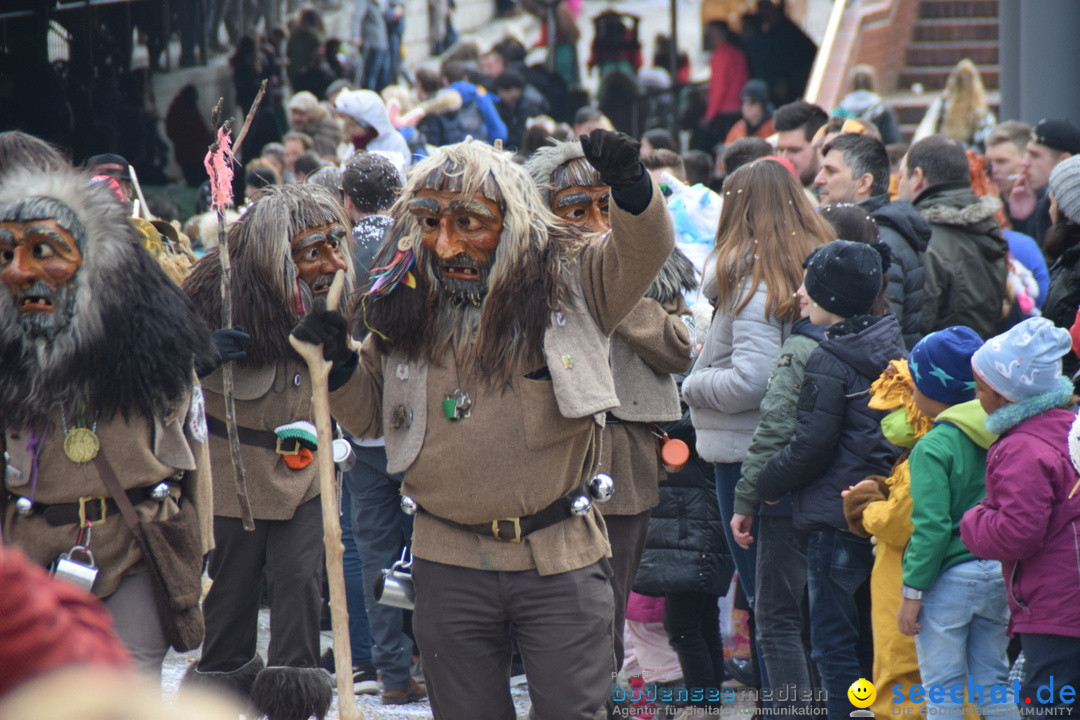 Grosser Narrensprung: Friedrichshafen am Bodensee, 02.03.2019