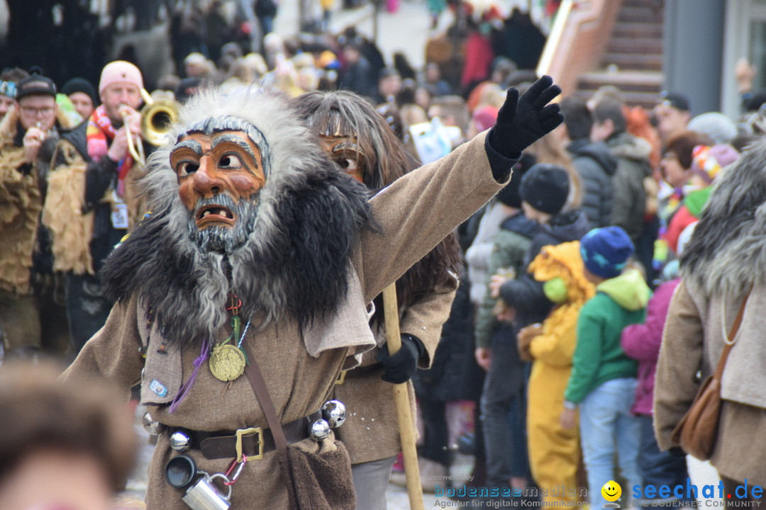 Grosser Narrensprung: Friedrichshafen am Bodensee, 02.03.2019