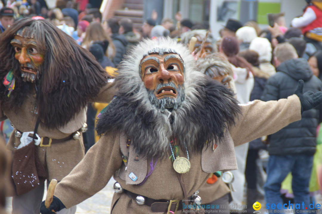 Grosser Narrensprung: Friedrichshafen am Bodensee, 02.03.2019