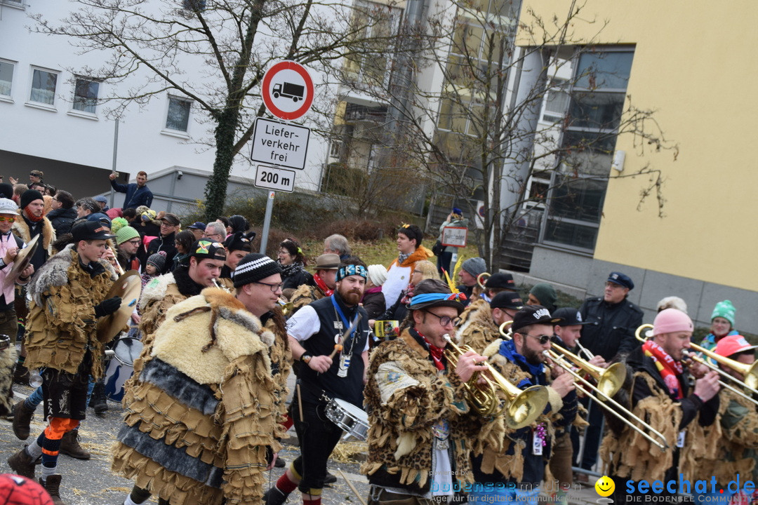 Grosser Narrensprung: Friedrichshafen am Bodensee, 02.03.2019