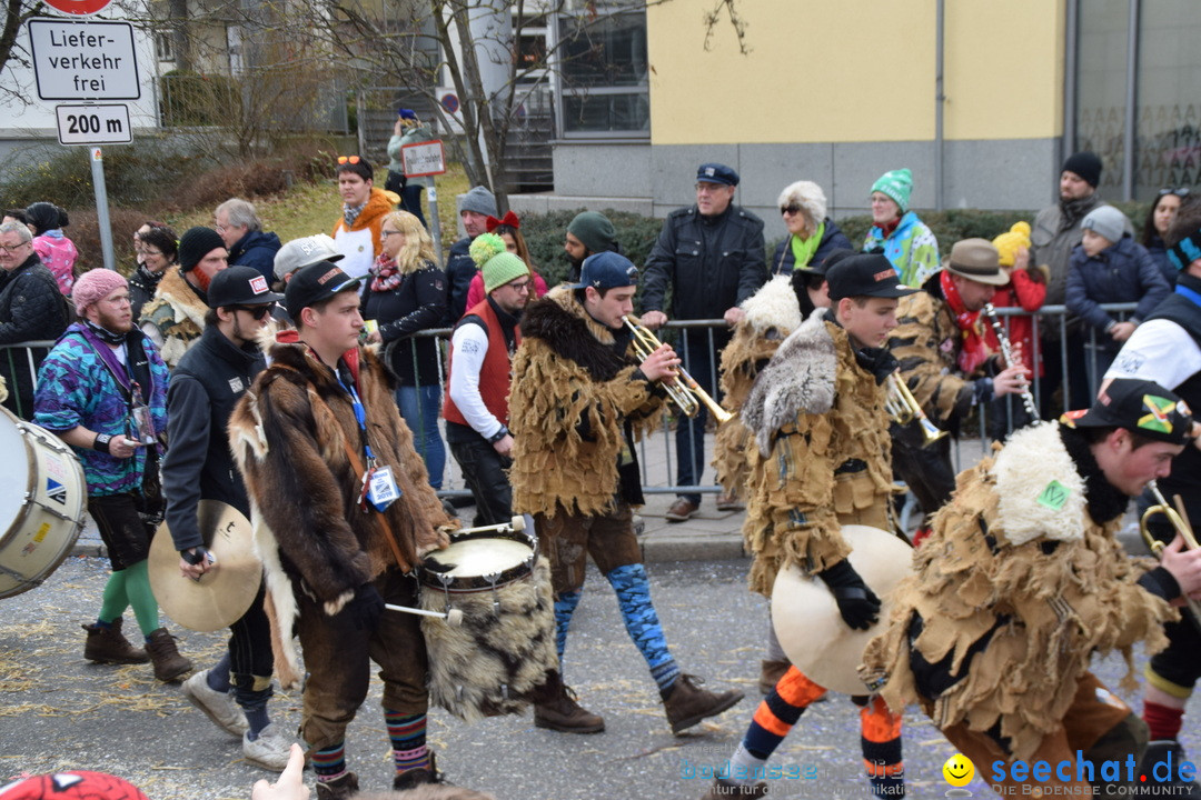 Grosser Narrensprung: Friedrichshafen am Bodensee, 02.03.2019