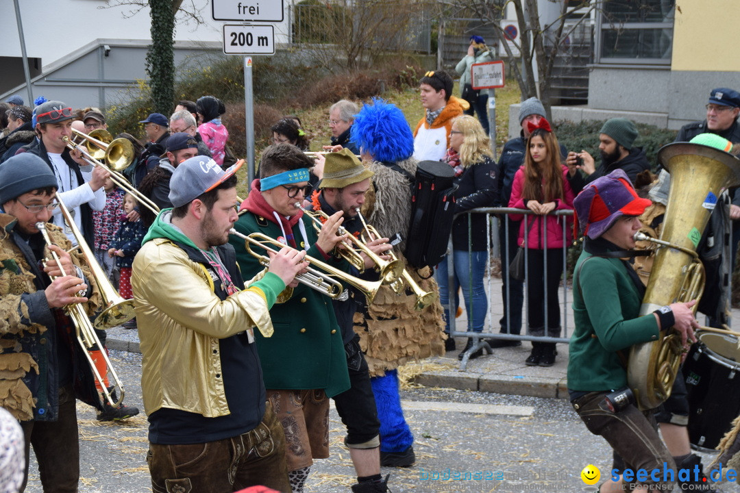 Grosser Narrensprung: Friedrichshafen am Bodensee, 02.03.2019