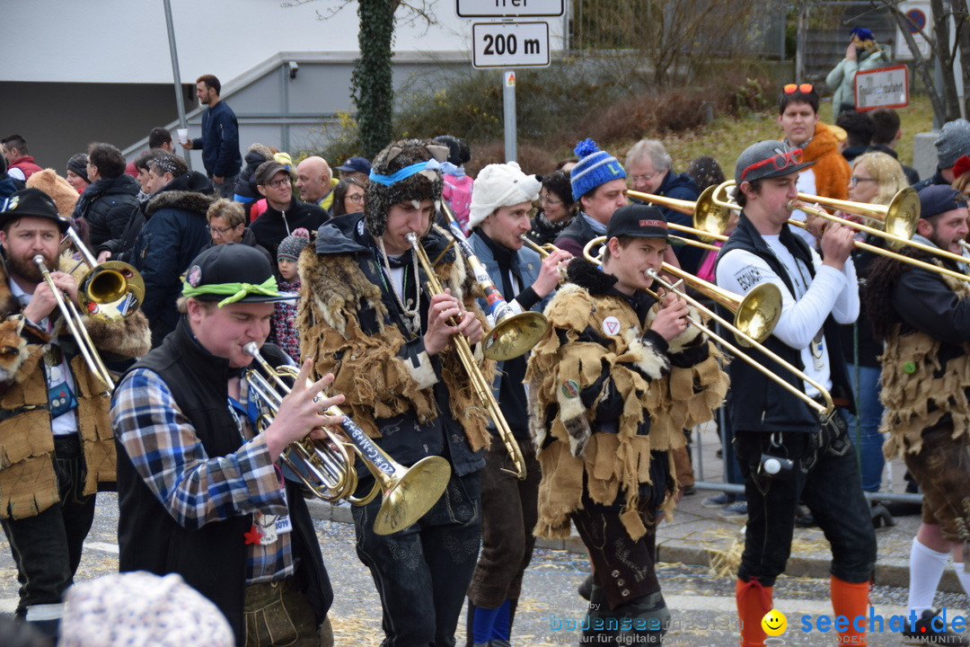 Grosser Narrensprung: Friedrichshafen am Bodensee, 02.03.2019