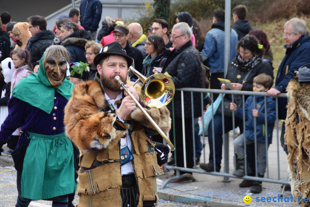 Grosser Narrensprung: Friedrichshafen am Bodensee, 02.03.2019