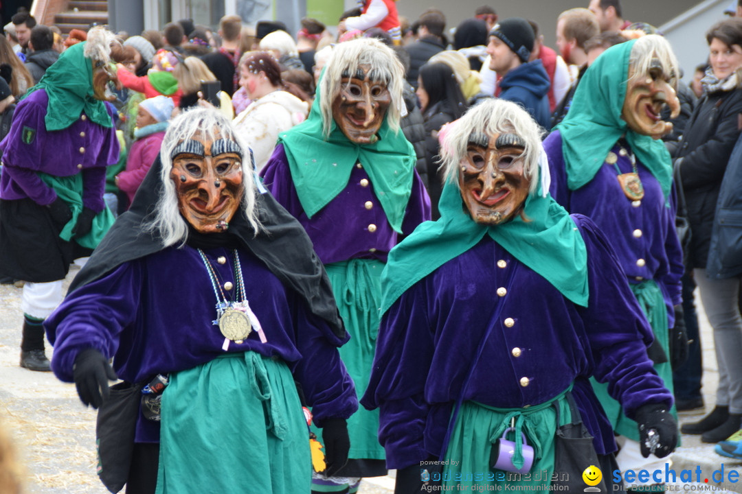 Grosser Narrensprung: Friedrichshafen am Bodensee, 02.03.2019