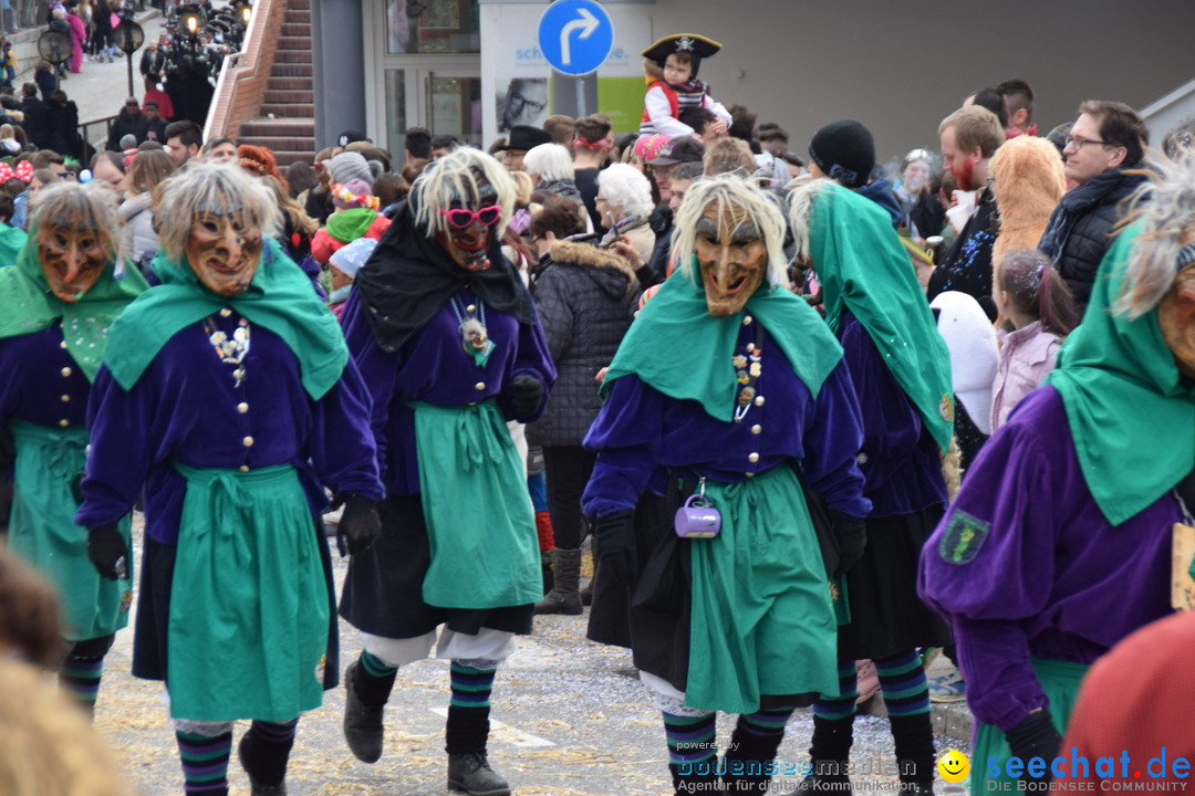 Grosser Narrensprung: Friedrichshafen am Bodensee, 02.03.2019