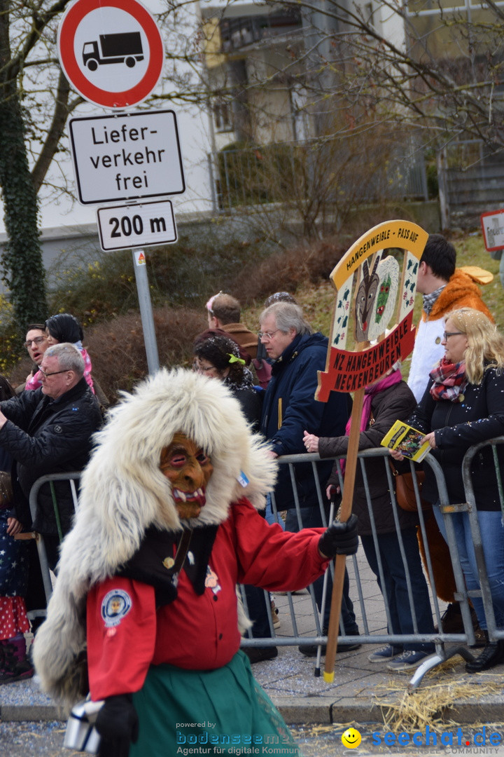 Grosser Narrensprung: Friedrichshafen am Bodensee, 02.03.2019