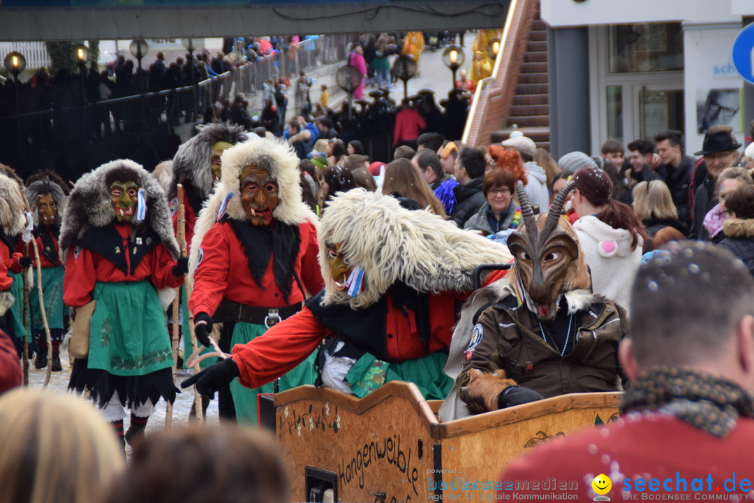 Grosser Narrensprung: Friedrichshafen am Bodensee, 02.03.2019