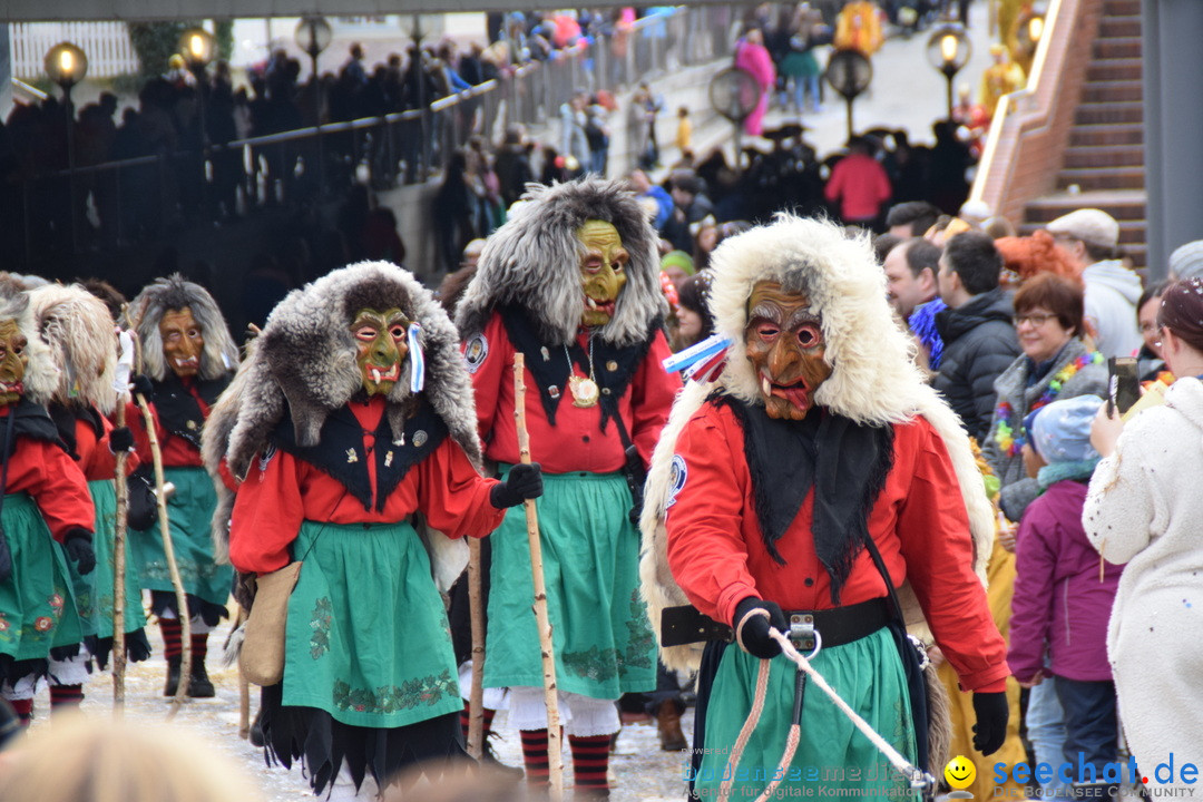 Grosser Narrensprung: Friedrichshafen am Bodensee, 02.03.2019