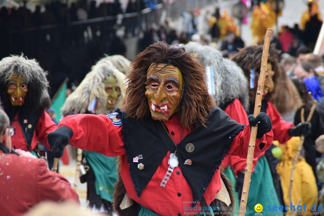 Grosser Narrensprung: Friedrichshafen am Bodensee, 02.03.2019