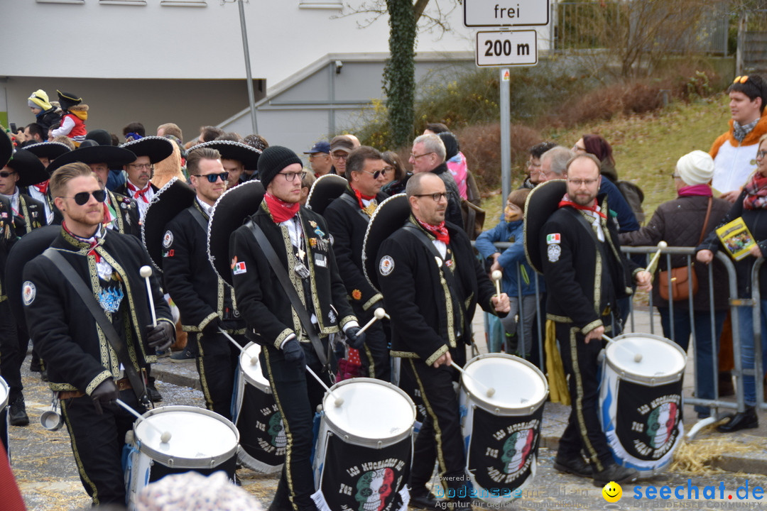 Grosser Narrensprung: Friedrichshafen am Bodensee, 02.03.2019