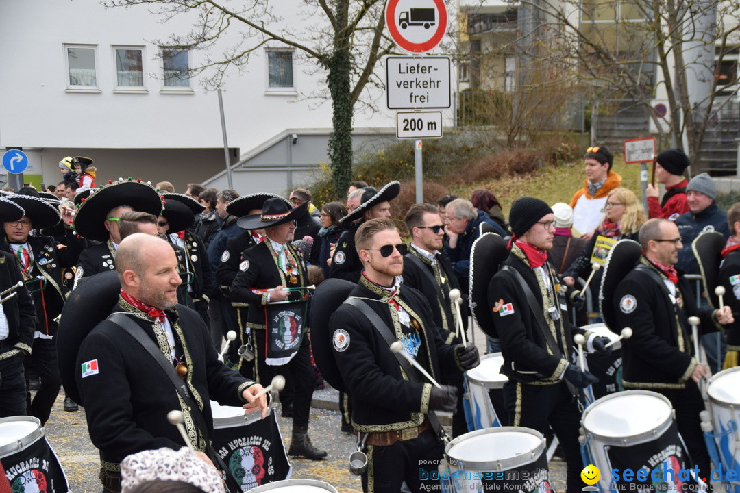 Grosser Narrensprung: Friedrichshafen am Bodensee, 02.03.2019