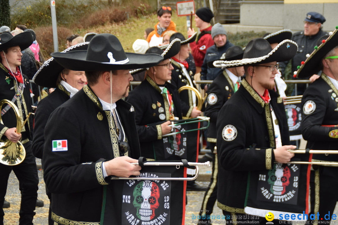 Grosser Narrensprung: Friedrichshafen am Bodensee, 02.03.2019