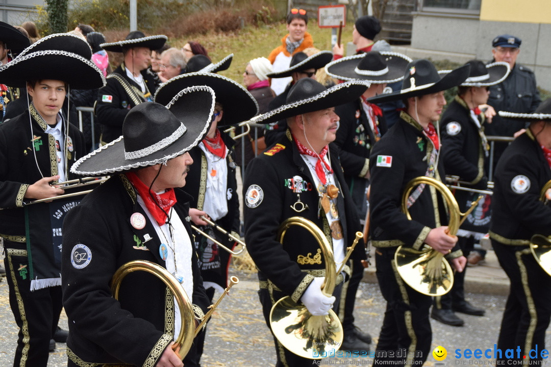 Grosser Narrensprung: Friedrichshafen am Bodensee, 02.03.2019