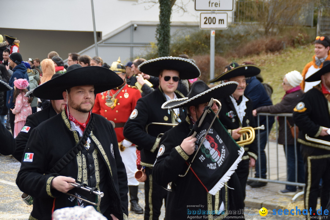 Grosser Narrensprung: Friedrichshafen am Bodensee, 02.03.2019