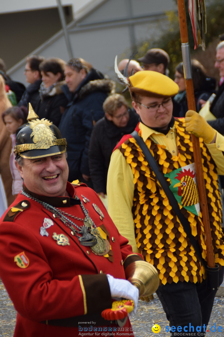 Grosser Narrensprung: Friedrichshafen am Bodensee, 02.03.2019