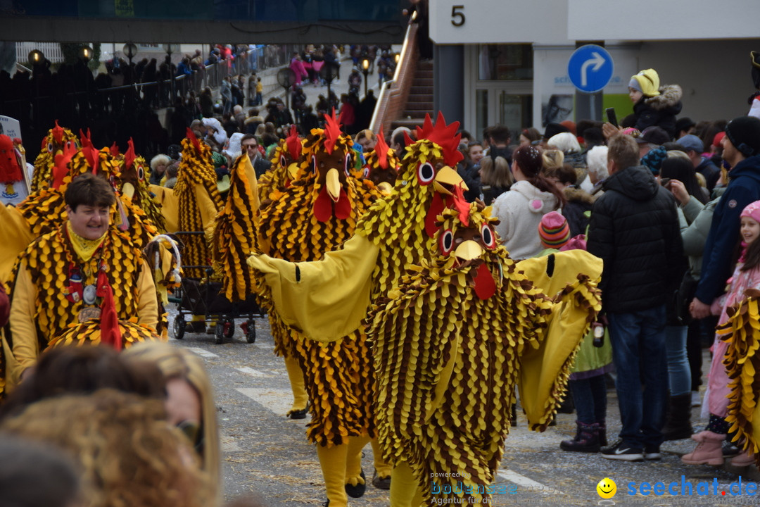 Grosser Narrensprung: Friedrichshafen am Bodensee, 02.03.2019