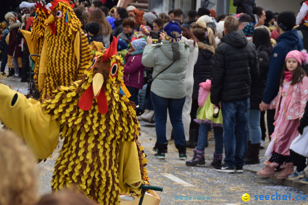 Grosser Narrensprung: Friedrichshafen am Bodensee, 02.03.2019