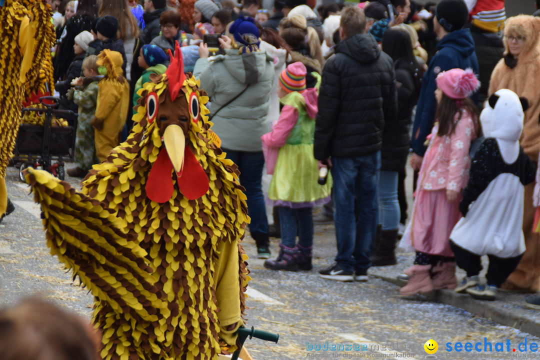 Grosser Narrensprung: Friedrichshafen am Bodensee, 02.03.2019