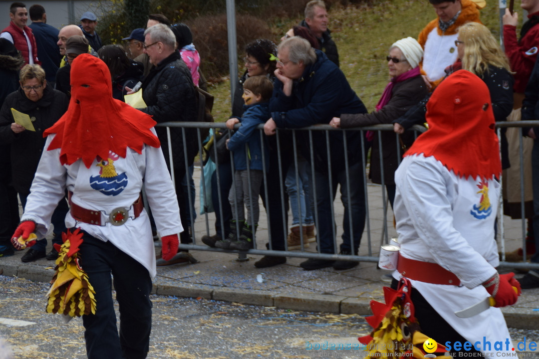 Grosser Narrensprung: Friedrichshafen am Bodensee, 02.03.2019