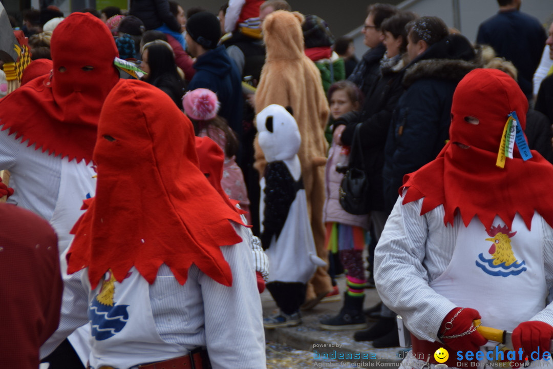 Grosser Narrensprung: Friedrichshafen am Bodensee, 02.03.2019