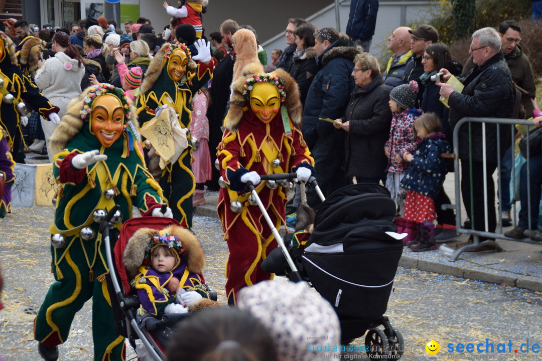 Grosser Narrensprung: Friedrichshafen am Bodensee, 02.03.2019