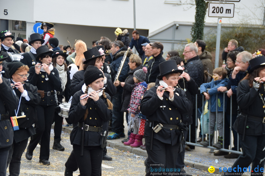 Grosser Narrensprung: Friedrichshafen am Bodensee, 02.03.2019