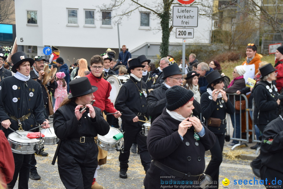 Grosser Narrensprung: Friedrichshafen am Bodensee, 02.03.2019