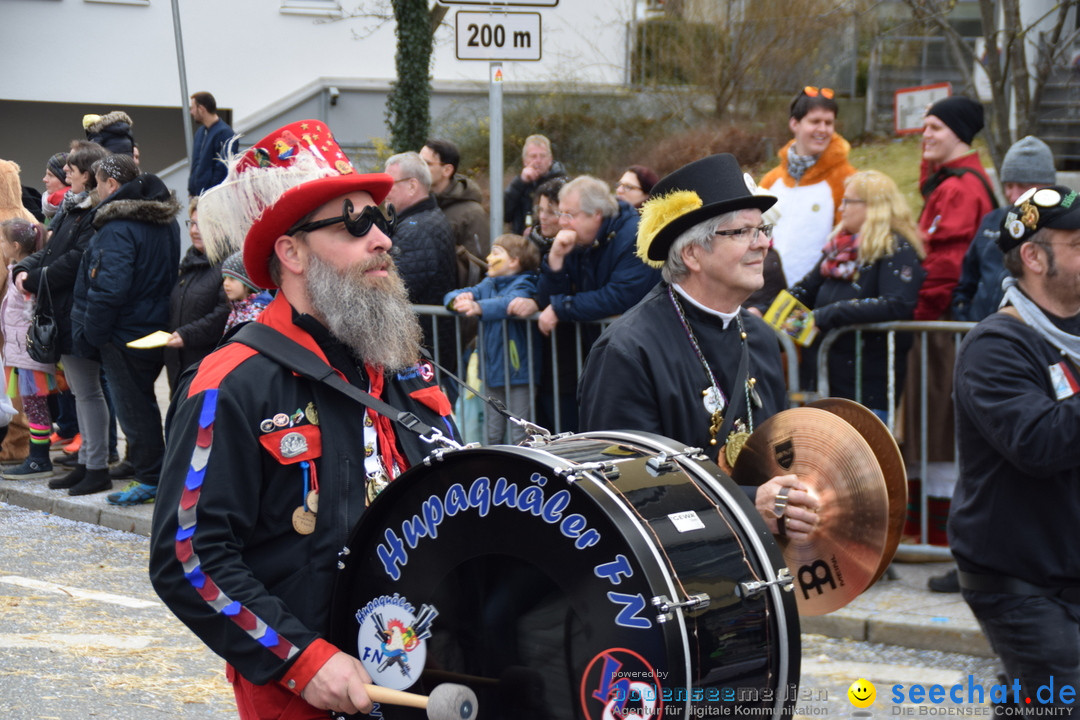 Grosser Narrensprung: Friedrichshafen am Bodensee, 02.03.2019