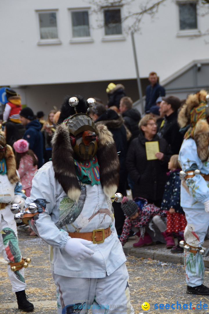 Grosser Narrensprung: Friedrichshafen am Bodensee, 02.03.2019