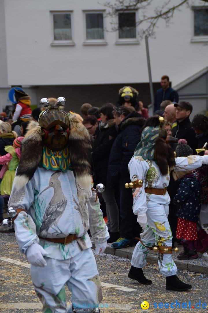 Grosser Narrensprung: Friedrichshafen am Bodensee, 02.03.2019