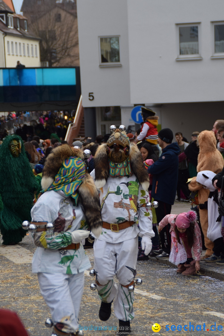 Grosser Narrensprung: Friedrichshafen am Bodensee, 02.03.2019