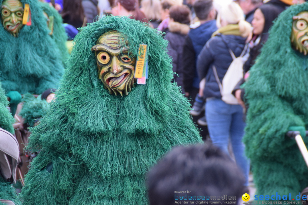 Grosser Narrensprung: Friedrichshafen am Bodensee, 02.03.2019