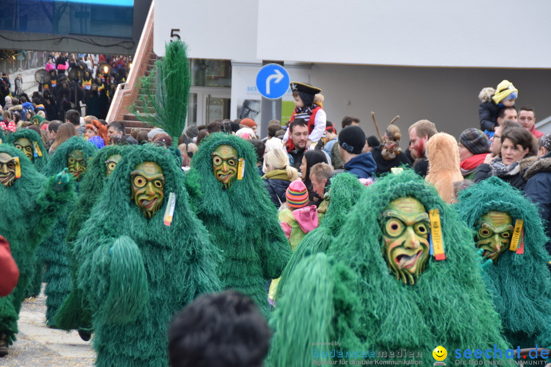 Grosser Narrensprung: Friedrichshafen am Bodensee, 02.03.2019