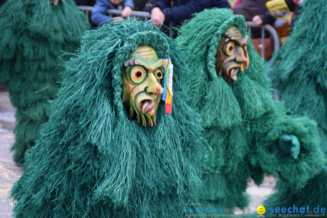 Grosser Narrensprung: Friedrichshafen am Bodensee, 02.03.2019